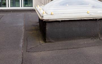 disadvantages of Asknish flat roofs