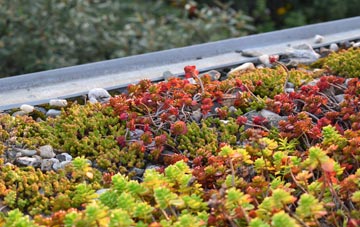 the cost of Asknish green roof installation