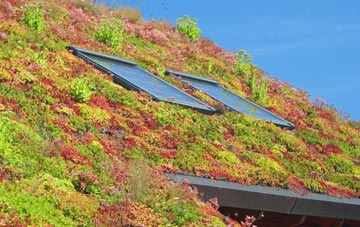 Asknish living roof systems