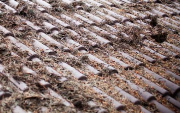 Asknish roof cleaning companies