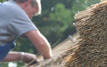 professional Asknish thatchers