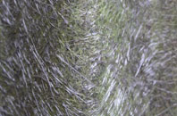 Asknish fibreglass roof work